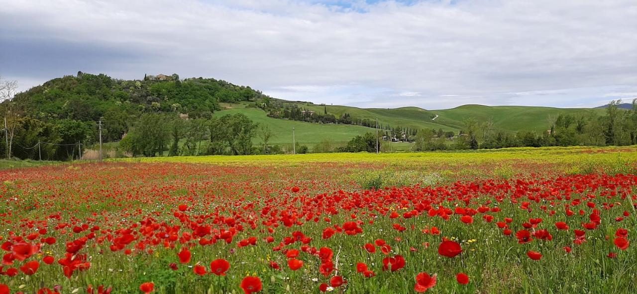 Podere Pian Dei Gelsi Volterra Extérieur photo