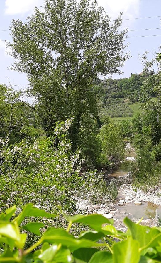 Podere Pian Dei Gelsi Volterra Extérieur photo